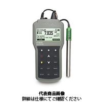 ハンナ インスツルメンツ・ジャパン 高性能ポータブルpH/ORP/ISE/°C計 HI 98191 1個（直送品）