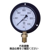 第一計器製作所 IPT一般圧力計 BVU R3/8 100