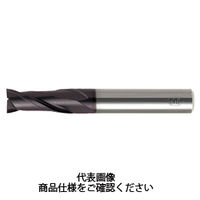 三興製作所 SAコーティング超硬2枚刃ショート刃 SAGC2T2.9 1本（直送品）