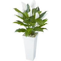 タカショー 人工観葉植物 スパティフィラム 0.9m（直送品）