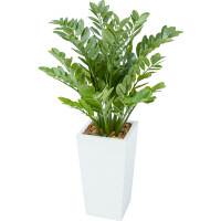 タカショー 人工観葉植物 ニューザミア 1.0m（直送品）