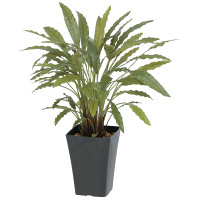 タカショー 人工観葉植物 カラテア グリーン 0.9m（直送品）