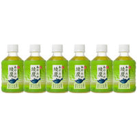 コカ・コーラ　綾鷹　280ml　1セット（48本：24本入×2箱）　（わけあり品）