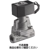 CKD パイロット式2ポート電磁弁(マルチレックスバルブ) AP11ー10Aー02GーAC100V AP11-10A-02G-AC100V 1台（直送品）