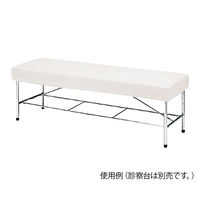 アズワン 診察台カバー ホワイト 600×1800mm用 C-600W 1枚 0-119-01（直送品）