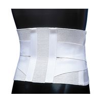 日本衛材 ダイヤサポートII型[腰部固定帯メッシュタイプ] L NE-563 1セット(2個) 0-5078-03（直送品）