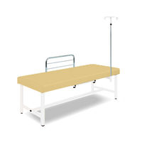 アズワン 診察台(サイドレール・ガードル架付) 65×190×55 マット・アイボリー 脚・ホワイト SG19-IW 1個（直送品）