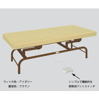 アズワン 電動診察台 幅70×長さ180×高さ45~81cm マット・アイボリー 脚・ホワイト AE70-IW 1個 8-6633-01（直送品）