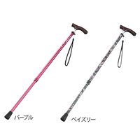 光華 伸縮杖(スリムネックタイプ) パープル(女性用) B059-608SD-D004-3 1本 8-6961-01（直送品）