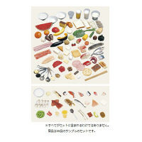 イワイサンプル 糖尿病指導キット(1~30品セット) 16-A30 1個 24-4508-00（直送品）