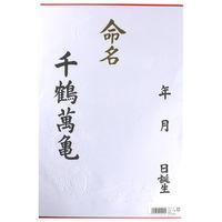 マルアイ 命名紙 大 3枚入 メイー1 1パック