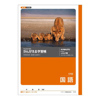 日本ノート キョクトウ かんがえる学習帳 国語 17行 B5 L12 1セット(6冊)