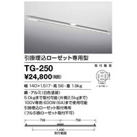 山田照明 TG-250 1台