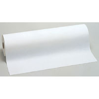 キッチンペーパー エリエール ミートペーパー ロールタイプ ミシン目入 1カット60×30cm 1箱（4本入） 大王製紙（わけあり品）