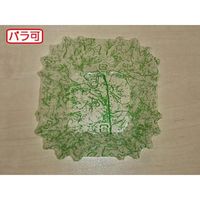 セイコー ラミケースOPP四角6号雲龍柄(緑) 500枚 00295281 1本(500枚入)（直送品）