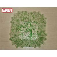 セイコー ラミケースOPP四角7号雲龍柄(緑) 500枚 00295298 1本(500枚入)（直送品）