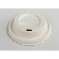 ケーピープラテック 90パルプリッド ホワイト　1000枚(50×20) 54528