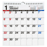 高橋書店 【2023年版】エコカレンダー壁掛 A4変型 E66 1セット(2冊)（直送品）