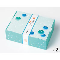 鼓月 姫千寿せんべい（ラムネ12枚入） ２箱【賞味期限：2022年10月6日】 74427202 １セット（12枚入×２箱）（直送品）