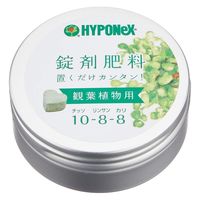 ハイポネックスジャパン 錠剤肥料　観葉植物用　約70錠 4977517148029 1個（直送品）