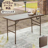 三栄コーポレーション 屋外利用、水洗い可能 ラタン調 折りたたみガーデンテーブル 幅120cm A1-MKT120TBL_AS 1台（直送品）