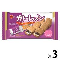 ガトーレーズンFS 3袋 ブルボン 洋菓子