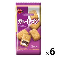 ガトーレーズン 6袋 ブルボン 洋菓子