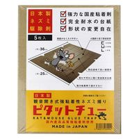 CLEAN HOUSE ピタットチュー 5枚入り 2057565 1セット(5枚)（直送品）