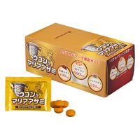 ファイテン(phiten) ウコン&マリアアザミ GS558000 1個（直送品）