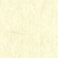 バンコ 大礼紙 絹 A4 10枚入 53235 1セット(10冊)（直送品）