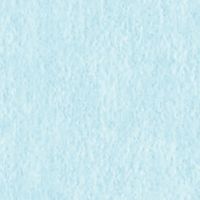 バンコ 大礼紙　薄浅黄　Ａ４　１０枚入 53238 10冊（直送品）