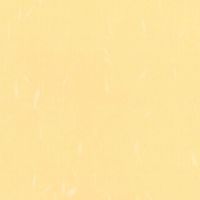 バンコ 大礼紙　橙色　Ａ４　１０枚入 53245 10冊（直送品）