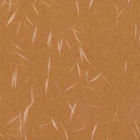 バンコ 大礼紙　茶　Ａ４　１０枚入 53244 10冊（直送品）