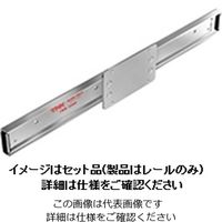 スライドパック 重荷重タイプ レールノミ FBW50110XR形 FBW50110XR+900L(RAIL ONLY) 1セット(2本)（直送品）