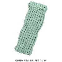 藤原産業 SK11 カラートラックロープ混撚 緑 SKCRーGK1210 1個（直送品）