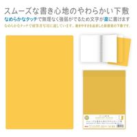 カラーソフト下敷　イエロー CSS-B5-Y 15枚 共栄プラスチック（直送品）