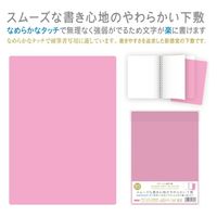 カラーソフト下敷　ピンク CSS-B5-P 15枚 共栄プラスチック（直送品）