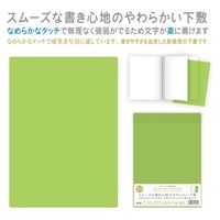 共栄プラスチック カラーソフト下敷 グリーン CSS-B5-G 1セット(15枚)