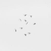 SHAREYDVA スタッズ ドロップ ２×１ｍｍ ５０Ｐ シルバー 1個（直送品）