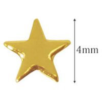 SHAREYDVA スタッズ メタルスター