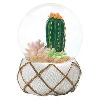 ケーアイジャパン スノードーム テラリウム L 多肉植物 完成品 ミックス 328003 1個（直送品）