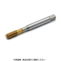 Seco Tools スレッドマスタータップ