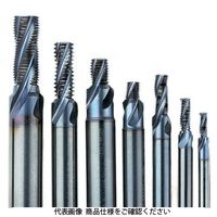 セコ・ツールズ・ジャパン フライス スレッドマスター TMーMF10X1.0ISOー10R1 1個（直送品）