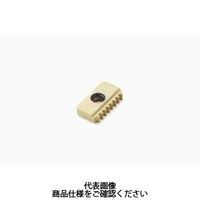 セコ・ツールズ・ジャパン フライス ねじ切り用チップ 13NMS1.0ISOCP500 1セット(2個)（直送品）