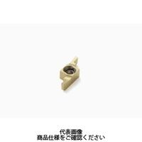 セコ・ツールズ・ジャパン 溝入れ用チップ 12ER1.70FD:CP500 12ER1.70FDCP500 1セット(2個)（直送品）