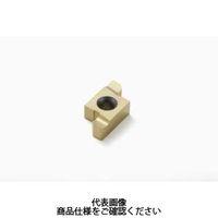 セコ・ツールズ・ジャパン 溝入れ用チップ 14ER1.5D76:CP500 14ER1.5D76CP500 1セット(2個)（直送品）