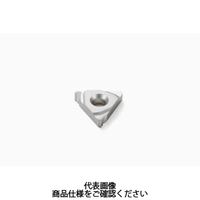 セコ・ツールズ・ジャパン 旋削 ねじ切り用チップ 11NR1.0ISOH15 1セット(2個)（直送品）