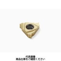 セコ・ツールズ・ジャパン 旋削 ねじ切り用チップ 16EL11BSPTCP500 1セット(2個)（直送品）