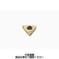 セコ・ツールズ・ジャパン 旋削 ねじ切り用チップ 16EL19WCP500 1セット(2個)（直送品）