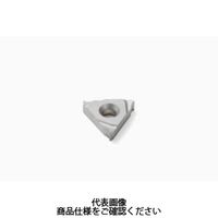 Seco Tools 旋削 ねじ切り用チップ 16ER H15